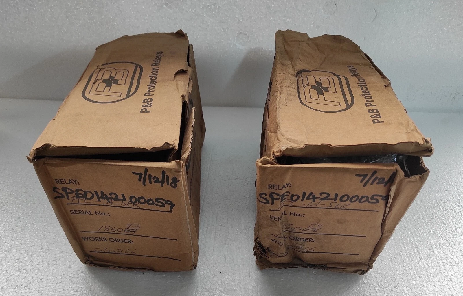 admin/uploads/uploads/p&b fcp ser protect relay vision motor_2.webp